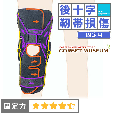 後十字靭帯 固定用 | エクスエイドニーPCL