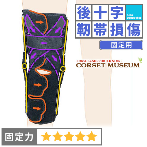 後十字靭帯 固定用 | ニーケアー・PCL