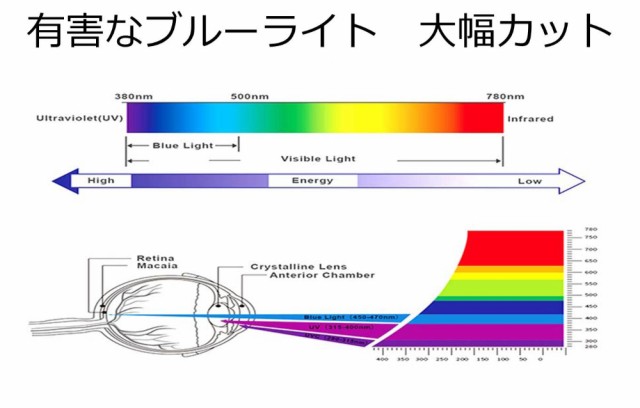 15.6 インチ 16:9用 着脱式 プライバシーフィルター 【ブルーライト