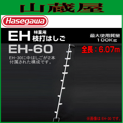 枝打ちはしご 長谷川工業 林業用 枝打ちはしご EH-60 全長 6.07m/有効長 5.92mの通販は