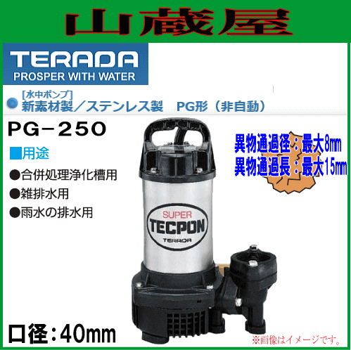 寺田ポンプ 水中ポンプ 汚水用 PG-250 口径40mm 単相100V