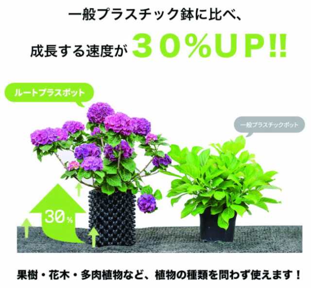 植木鉢 ルートプラスポットミニ 1.5L ブラウン 10個セット 南栄工業の通販はau PAY マーケット 山蔵屋 au PAY  マーケット－通販サイト