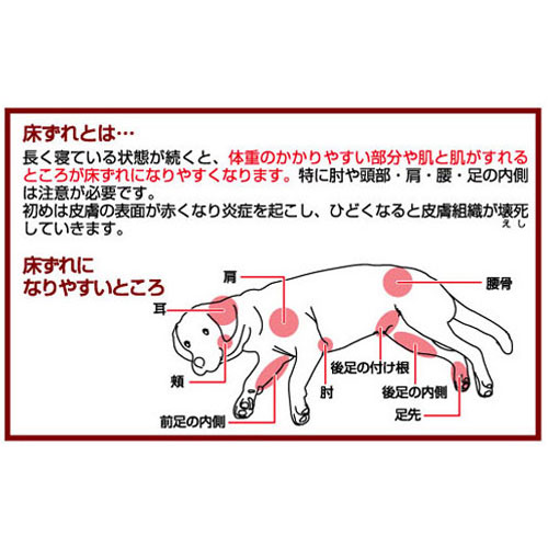 Zuttone 老犬介護用 床ずれ予防サポーター 小サイズの通販はau Pay マーケット I Wish