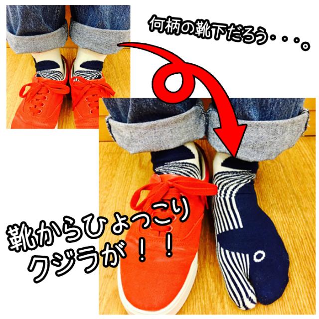 レディース 足袋 ソックス 靴下 魚 柄 23 25cm 婦人 和柄 ゆうパケット25 の通販はau Pay マーケット 靴下専門店コポ Au Pay マーケット店