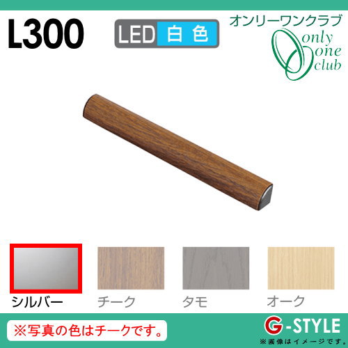 オンリーワンエクステリア 照明 ポーチライト 【レイモック3 L300 白色 シルバー】 RAYMOCKの通販は 18,330円