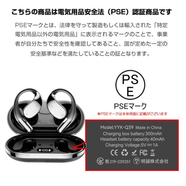 翻訳イヤホン 完全ワイヤレス AI 翻訳機 115言語対応 高精度