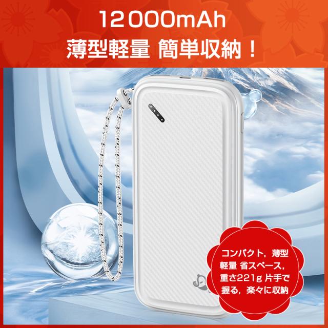 ☆2025新春福袋☆ SALE ワイヤレスイヤホン 3in1充電ケーブル ACアダプター モバイルバッテリー ネックマッサージャー ヘッドマッサージャー 6点入り リリース ご褒美 疲れ解消 手もみ グッズ ギフトの通販は