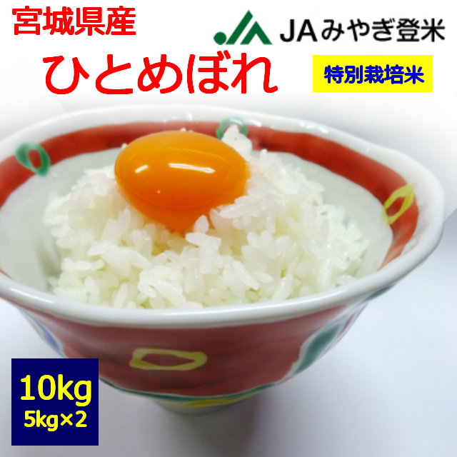 【特別栽培米】【令和６年産】【送料無料】【白米】　宮城県産　ひとめぼれ　１０kg　 お取り寄せ　10キロ 　お米　登米市　JAみやぎ登米　５kg×２ 7,963円
