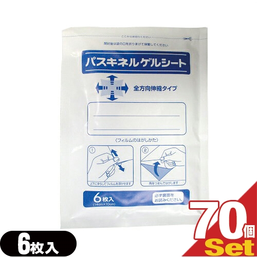 (即日発送)(貼付型冷却材)(アイシング)冷却シート 大石膏盛堂 パスキネルゲルシート 10×14cm(6枚入り)x70袋 - 心地よい使用感が得られる成分・サリチル酸メチル、l-メントール、dl-カンフルを配合の通販は