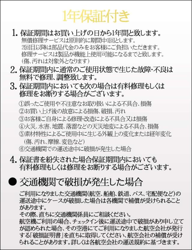 キャリーケース スーツケース ピクセルアート ポケットモンスター Mサイズ マチ拡張 軽量 59L ４輪 旅行 修学旅行 ダイヤルロック TSAロック ネームタグ ABS 旅行 pk-0881-56 キャラクターポケモン キャラクター Pixel Art_19