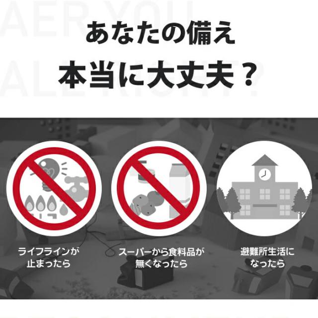 非常食 30点セット 8日分 21種類 防災 セット 中身だけ ごはん 詰め替え用 備蓄用 防災グッズ 保存食 災害 地震 防災用品 避難グッズ 避難用品 キャンプ アウトドア ゼリー_2