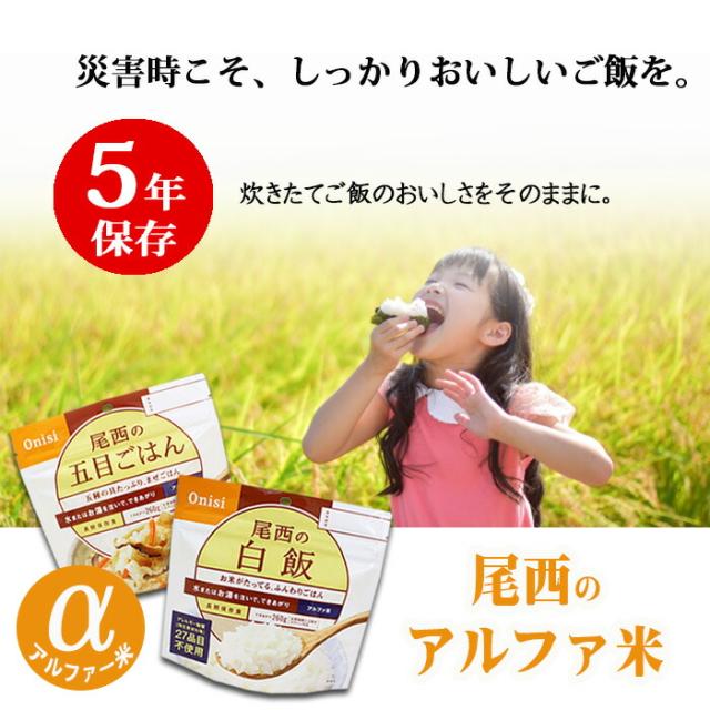 非常食 防災セット 非常食44点セット 7日分 防災 ごはん おにぎり 5年保存詰め替え用 備蓄用 防災グッズ 非常食 災害対策 地震対策 防災用品 防災セット 避難グッズ 家族 避難用品 キャンプ アウトドア わかめごはん たけのこごはん 五目ごはん 【7-10日】