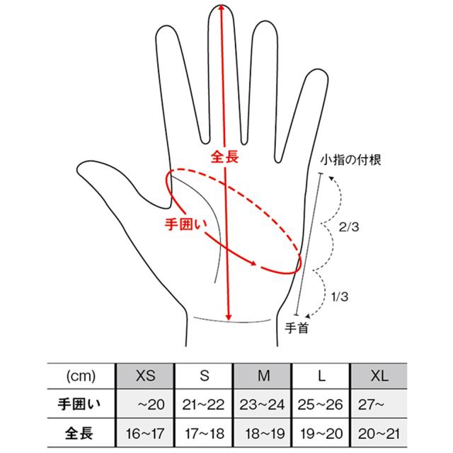 TAUBERT (トーバート) FINGER4-NORTH40 Cream / Natural 25-26 Made in JAPAN クリーム / ナチュラル スキー グローブ TAUBERT (トーバート) FINGER4-NORTH40 Cream / Natural 25-26 Made in