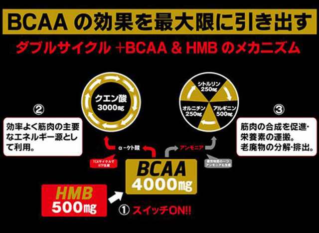 SUPER MEDALIST 9000 スーパーメダリスト9000 500ml用 小箱 11gX8袋 サプリメント 自転車 送料無料 一部地域は除く