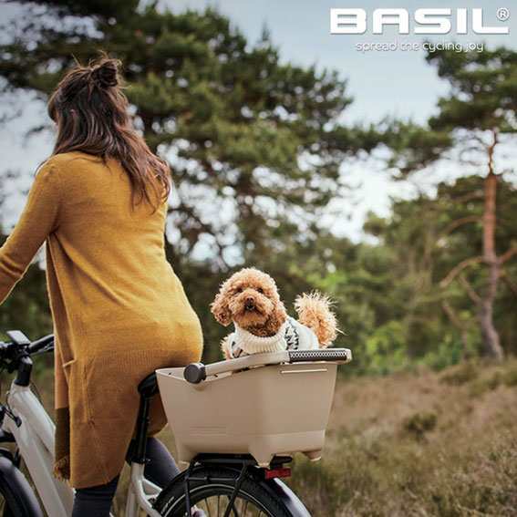 BASIL バジル BUDDY バディー ライトブラウン 小型犬 リア 後ろ