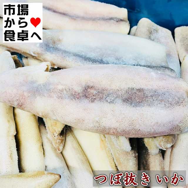 つぼ抜きいか 7.5？ 約50尾(1杯約150g)【はらわた無し・便利な加工済み】焼き物・煮物・揚げ物・いかめしに【冷凍便】