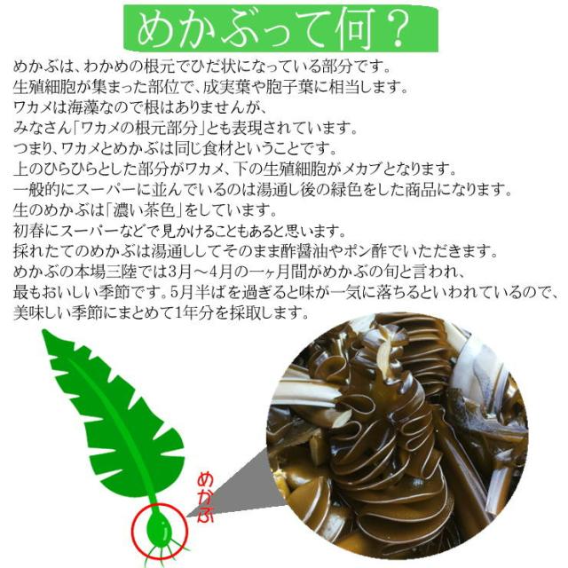 細切りめかぶ (湯通し) 10kg（10袋） 国産 (宮城県)【健康応援、海藻を毎日食べよう！】お好みの味付けでお召し上がりください【冷蔵便】_4