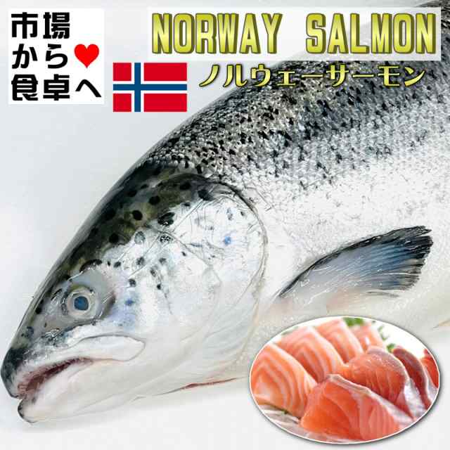 ノルウェーサーモン (アトランティックサーモン) 1本(約4.5kg)【業務用・脂あります】お刺身・お寿司・カルパッチョ・ステーキ・ムニエル