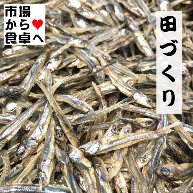 田作り （ ごまめ ）1kg  【 おせち料理 ・ 佃煮 】  おせち料理にかかせません 【常温便】の通販は 9,204円