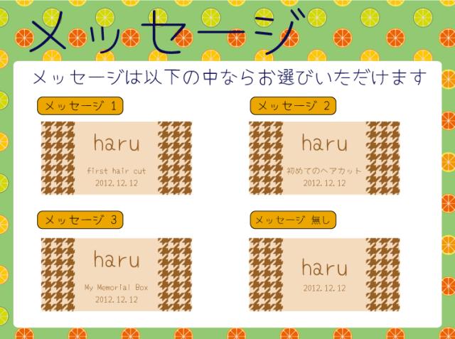 産毛ケース 胎毛入れ 赤ちゃん 髪の毛 保存 産毛 小物入れ 保管 出産祝い プレゼント 名入れ 女の子 男の子 プレゼント ベビー 子供 の通販はau Pay マーケット さんぽんかん