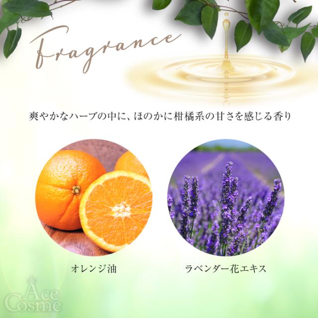 オッジオット　セラムシャンプー　ボリューム オッジィオット インプレッシブ PPTセラム ボリューム シャンプー ２個