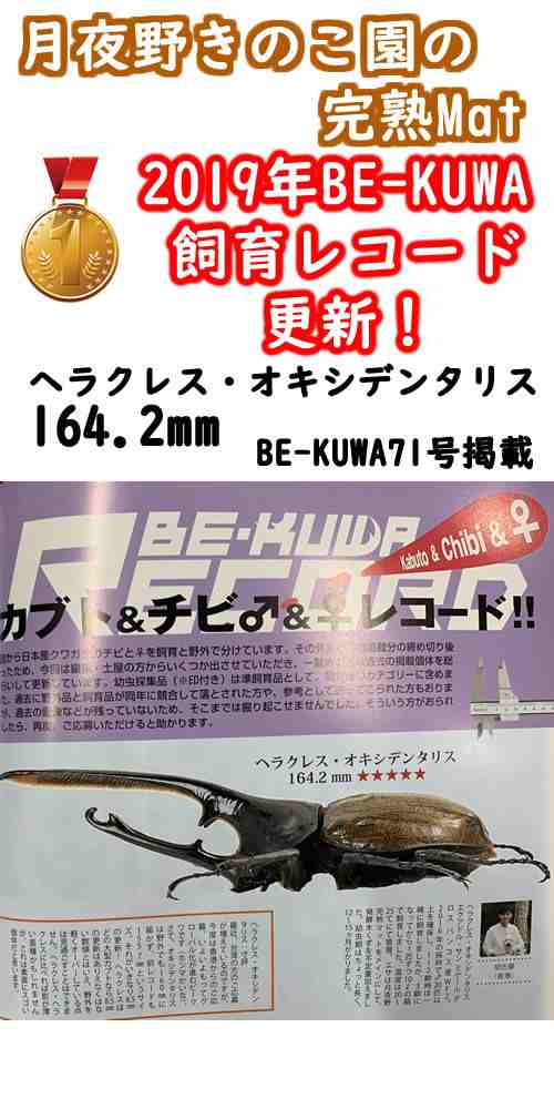 完熟MAT-【50L】(昆虫マット・発酵マット)【送料無料】の通販はau PAY マーケット - 月夜野きのこ園 au PAY マーケット店