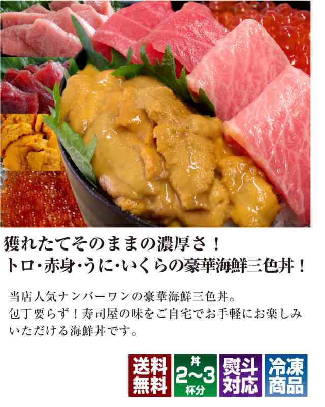 海鮮丼 「うに 60g×１」うにいくら丼 最高級品質 Ａランク チリ産 生ウニ 厳選 自然解凍 手巻き寿司 パスタ グラタン 雲丹 海栗 寿司 刺身 おつまみ