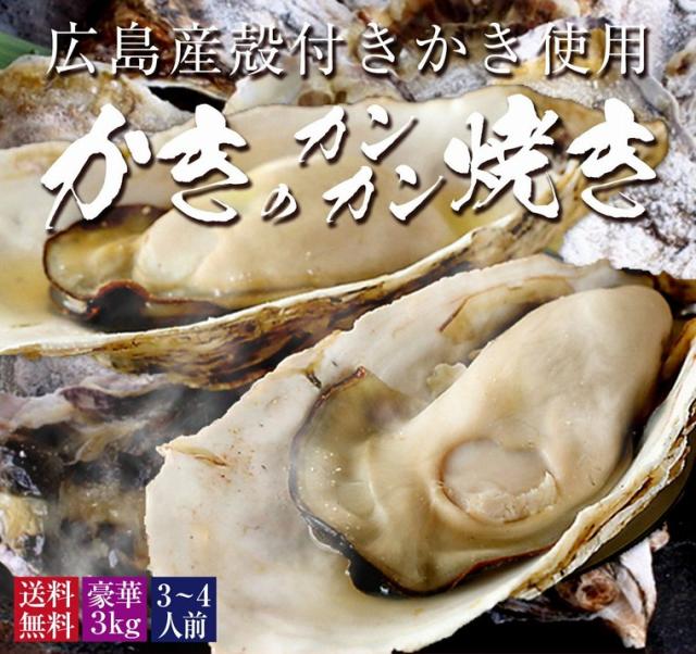 牡蠣 殻付き カキ カンカン焼き 海鮮 バーベキュー セット 広島県産 約3kg 大粒 Llサイズ 23個入 冷凍 貝類 一斗缶 軍手 ナイフ かんの通販はau Pay マーケット マグロの吉井