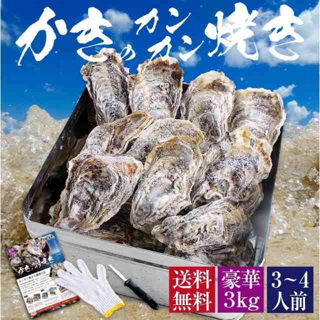 牡蠣 殻付き カキ カンカン焼き 海鮮 バーベキュー セット 広島県産 約3kg 大粒 Llサイズ 23個入 冷凍 貝類 一斗缶 軍手 ナイフ かんの通販はau Pay マーケット マグロの吉井