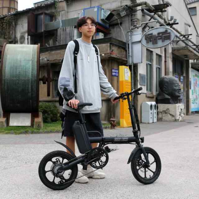 電動自転車 折りたたみ 電動アシスト自転車 大容量バッテリー おしゃれ 安い スポーツタイプ 小径車 ミニベロ F16 Plusの通販はau Pay マーケット 最大1000円クーポン配布中 一宮サイクル