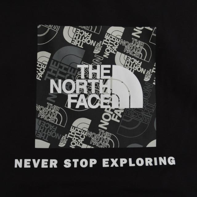 ノースフェイス パーカー メンズ プルオーバー 裏起毛 ロゴ バック