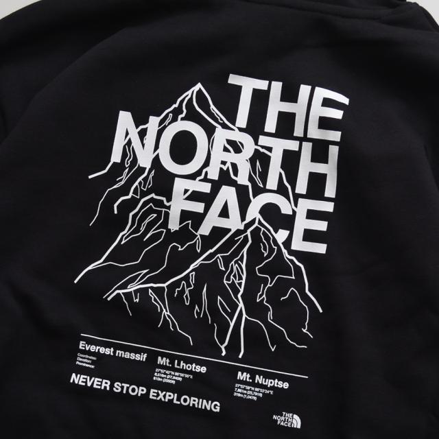 ノースフェイス パーカー メンズ プルオーバー 裏起毛 ロゴ バックプリント THE NORTH FACE フーディー スウェット レディース NF0A8FNF_3