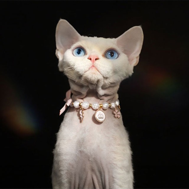 gren ネコチョーカー未使用未開封猫好きに