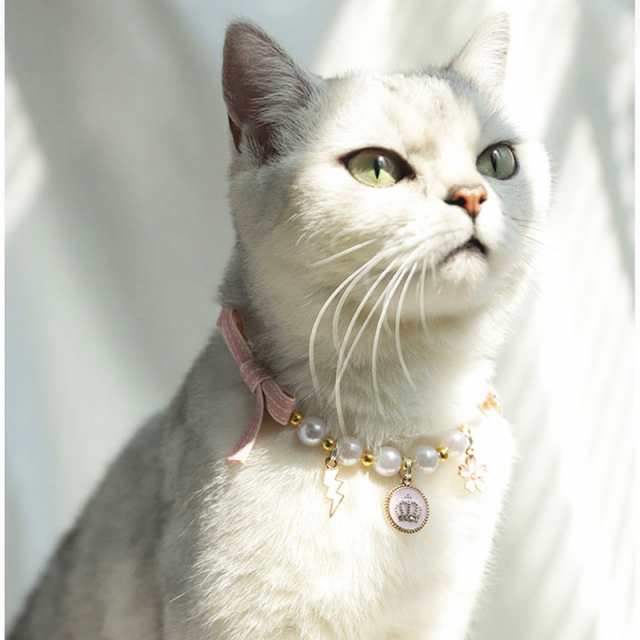 gren ネコチョーカー未使用未開封猫好きに