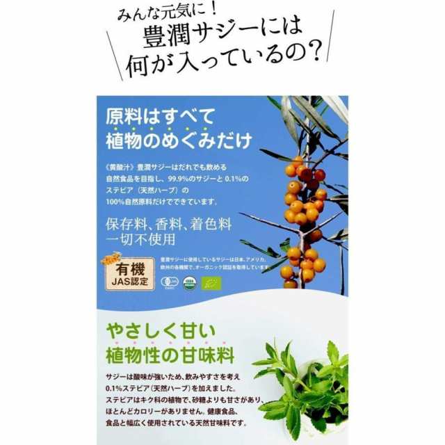 豊潤サジー 1000ml 約1ヵ月分 紙パック フィネス オーガニックサジー原料 ビタミンC 鉄分 100%天然の通販はau PAY マーケット -  Tornade au PAY マーケット店