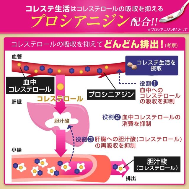 コレステ生活 2袋 コレステロールを下げるサプリメント Dmjえがお生活 悪玉コレステロール 機能性表示食品 Ldlの通販はau Pay マーケット Tornade Au Pay マーケット店