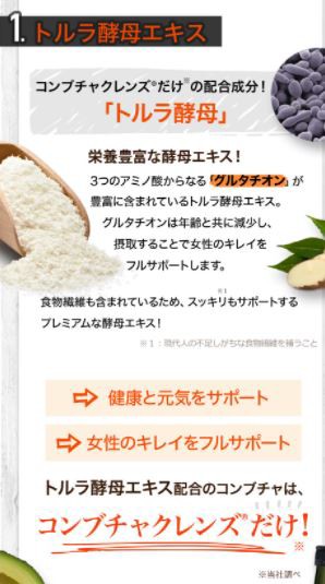 お1人様1点限り】 コンブチャクレンズ※専用 ダイエット食品