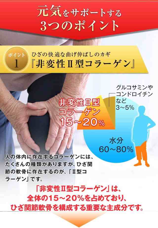 皇潤 極 こうじゅんきわみ 100粒 2箱 2個 セット 機能性表示食品