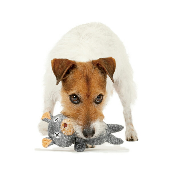 犬用おもちゃ ダッドウェイ Fadアニマル プラッシュトイ Xs ベアの通販はau Pay マーケット ペットガーデン紀三井寺