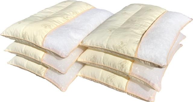 ６個セット ３層型かためのハードパイプ枕 中材 約１ｋｇ 約３５×５０ｃｍ ＢＥ 【日本製】 【国内加工】 【パイプ】 【パイプ枕】 【高さ調整可能】の通販は