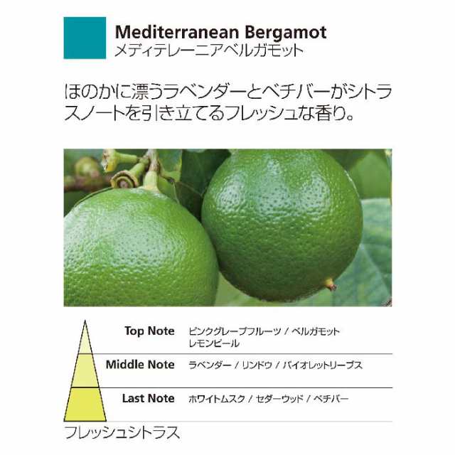 リードディフューザー100ml Mベルガモット Natural ミッレフィオーリ Millefiori アロマディフューザー 公式通販サイトの通販はau Pay マーケット エトランジェディコスタリカ