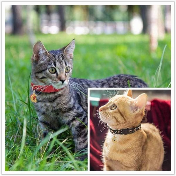 ペット用首輪 猫の首輪 すず かわいい ペット首輪 猫 子猫 猫用首輪 セーフティバックル式 ネコ 子犬 首輪 猫首輪 星柄 安全 2点セットの通販はau Pay マーケット 青い手商店