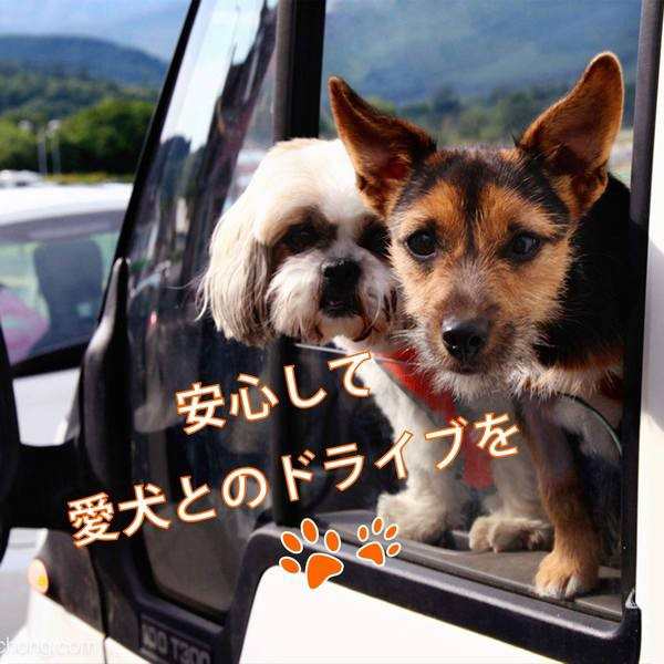 犬猫用シートベルト 座席のヘッドレストに装着 長さ調整可能 安全シートベルト ペットドライブ用 突然の飛び出し防止 ペット用品 犬 おでの通販はau Pay マーケット 青い手商店