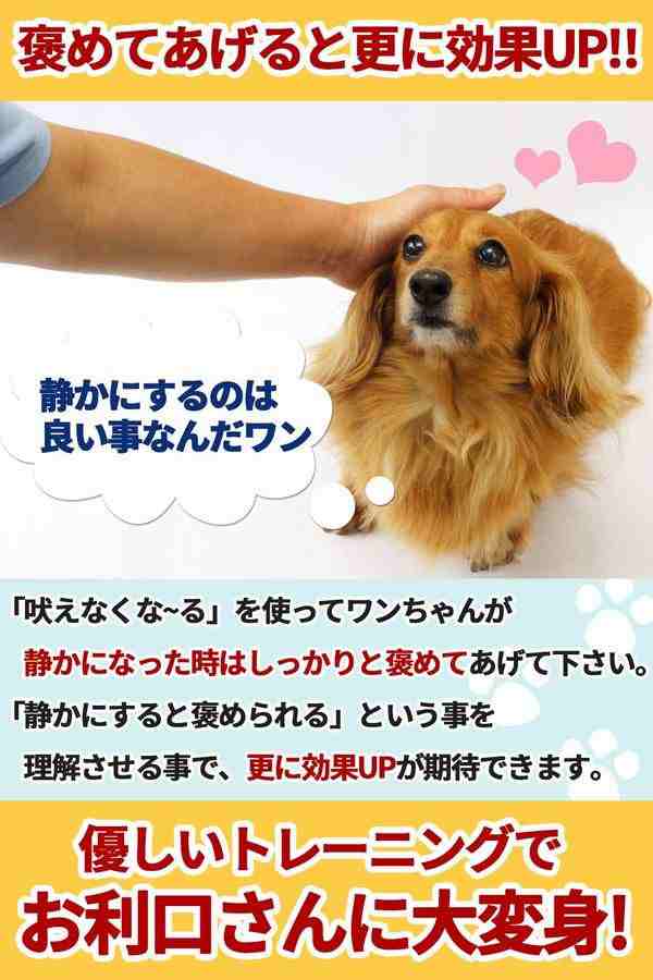 吠えなくな る 最新型 犬用小型無駄吠え防止装置 超音波 片手に収まりどこでも持ち運び可能 愛犬のしつけ トレーニングに グレー の通販はau Pay マーケット 青い手商店