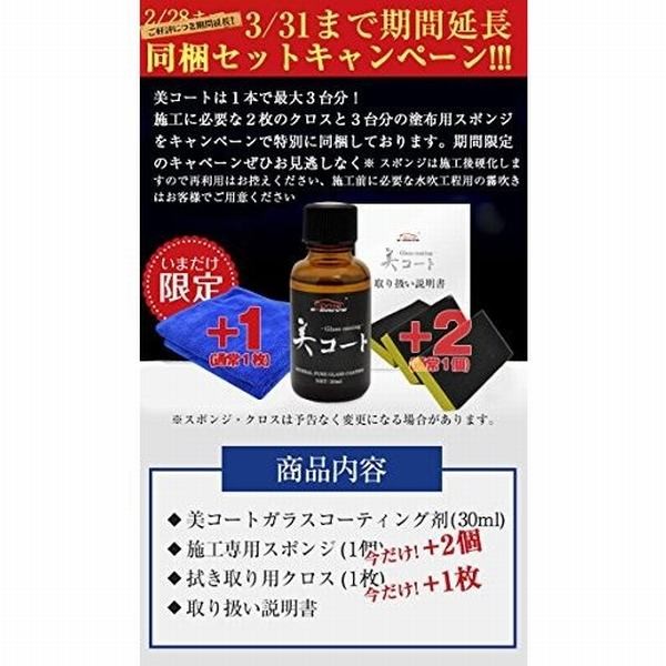 E Drive ガラスコーティング剤 車 ガラスコーティング 自動車 撥水 親水 滑水の通販はau Pay マーケット 青い手商店