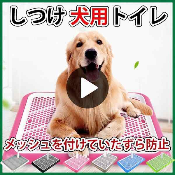 しつけ 犬用トイレ ペット トイレ用品 トイレ容器 トレーニングトイレ 子犬 小型犬 室内犬 ペット用トイレ ペット用品 オシャレ トイレ用の通販はau Pay マーケット 青い手商店