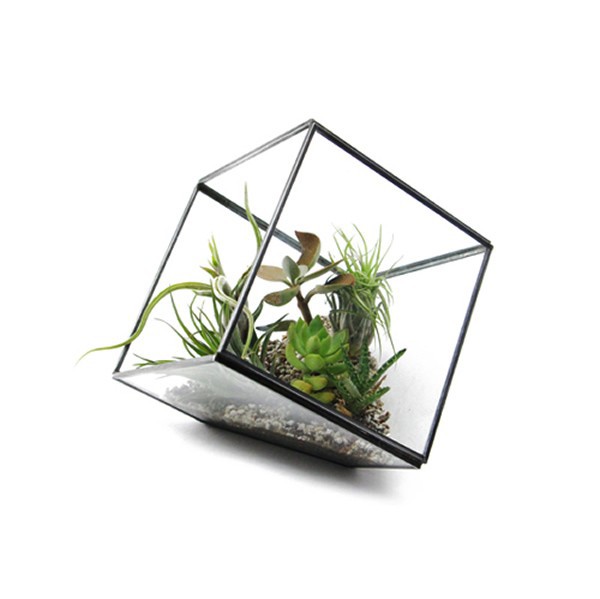 Geo Terrarium L ジオテラリウム L グリーンインテリア エアプランツ 観葉植物 Detailの通販はau Pay マーケット Hutte