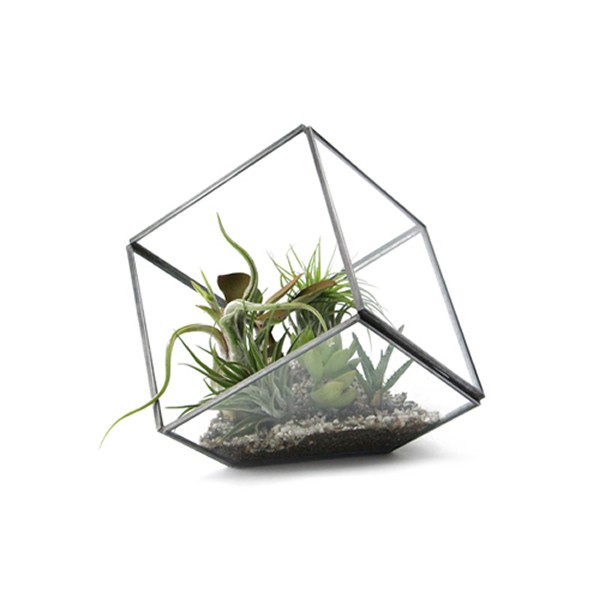 Geo Terrarium L ジオテラリウム L グリーンインテリア エアプランツ 観葉植物 Detailの通販はau Pay マーケット Hutte