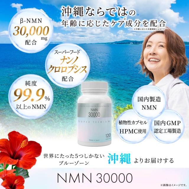 NMN サプリメント NMN30000 日本製 高純度99%以上 よもぎ 長命草 月桃 120カプセル×2本 沖縄にこにこ元気島_1
