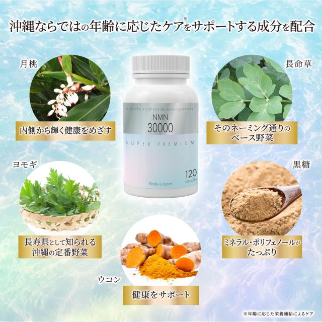 NMN サプリメント NMN30000 日本製 高純度99%以上 よもぎ 長命草 月桃 120カプセル×2本 沖縄にこにこ元気島_2